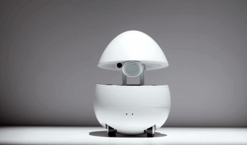 Panasonic представила робота-компаньона в форме яйца