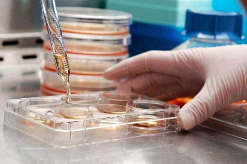 В Канаде откроют лабораторию по выращиванию стволовых клеток