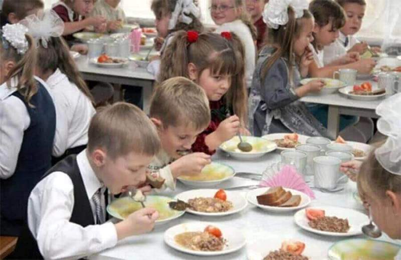 Сенаторы работают над законом, регламентирующим качество школьного питания по всей стране