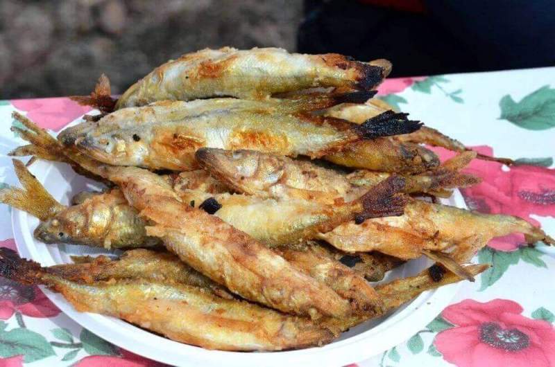 Народная рыбалка на Амуре 