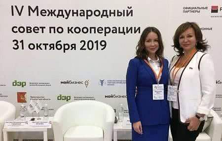 На международном Совете по кооперации предложили разработать законопроект об обязательном страховании квартир с газовым оборудованием