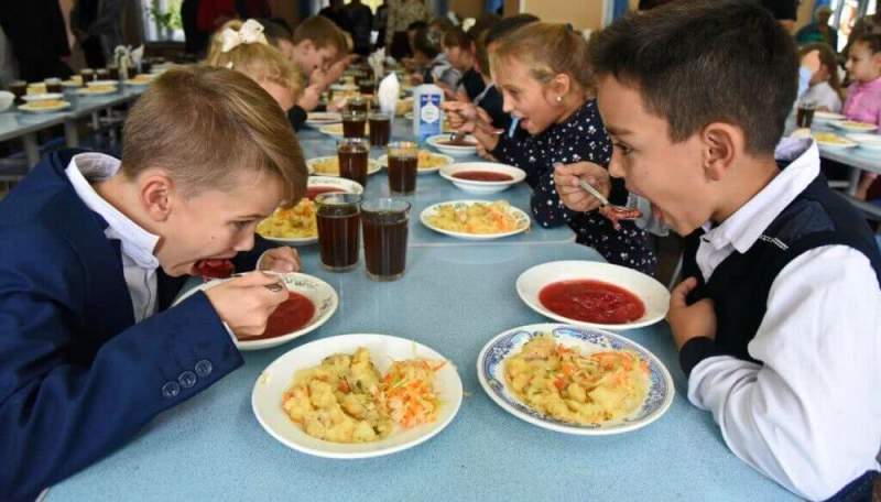 Власти Северной столицы обещают улучшения сферы детского питания после введения стандарта оказания услуг