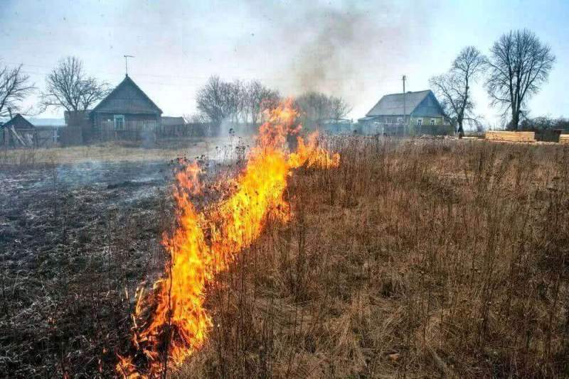 Правительство РФ утвердило запрет на разжигание костров вблизи дорог и сожжение травы
