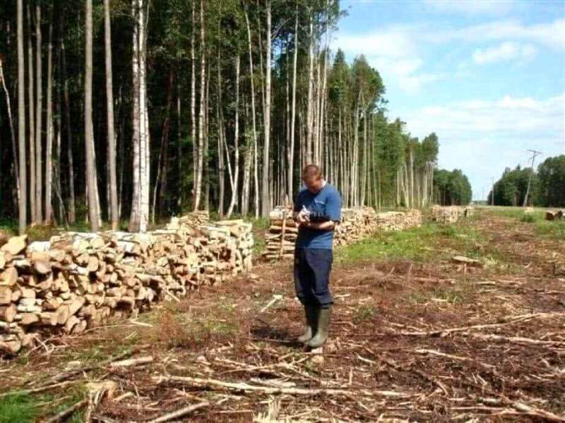 В Хабаровском крае повысят эффективность работы общественных экологических инспекторов