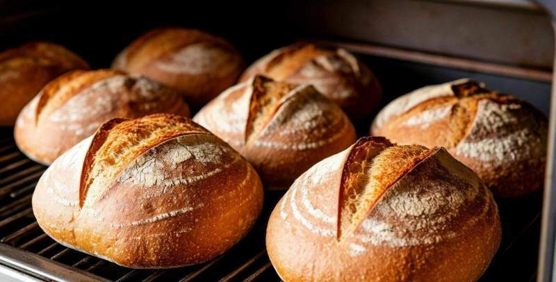 Как выбрать хлебопекарную печь