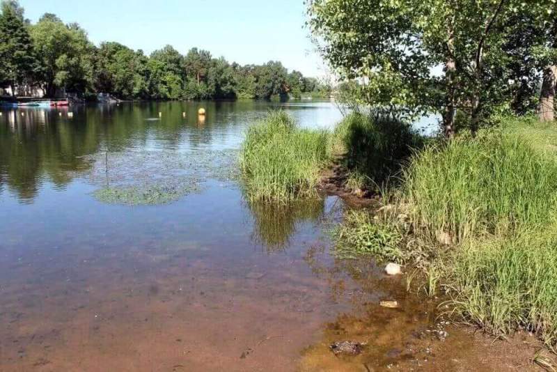 ОНФ в Петербурге добивается улучшения экологической обстановки в акватории и на берегу Суздальских озер