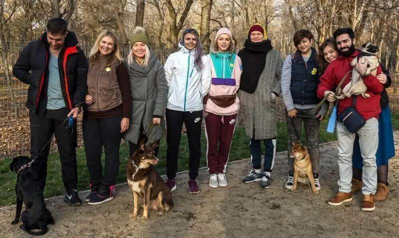Семинары проекта «Школа ответственной DOG-семьи» пройдут в Москве