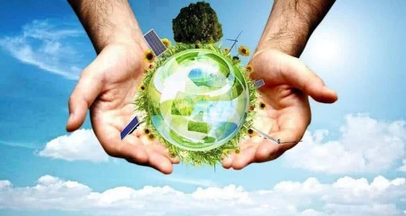 Зеленые технологии: рост инвестиций в экологически чистое будущее
