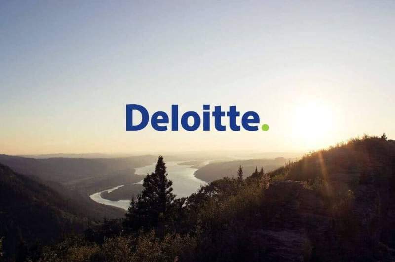 Deloitte: показатели деятельности компании растут седьмой год подряд