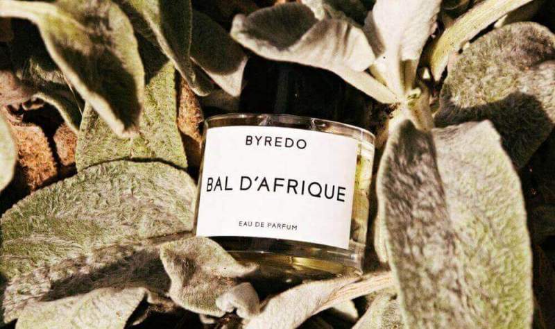 Обзор культового аромата Byredo Bal dAfrique