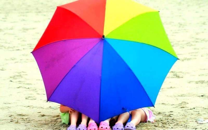 Виды и особенности зонтов
