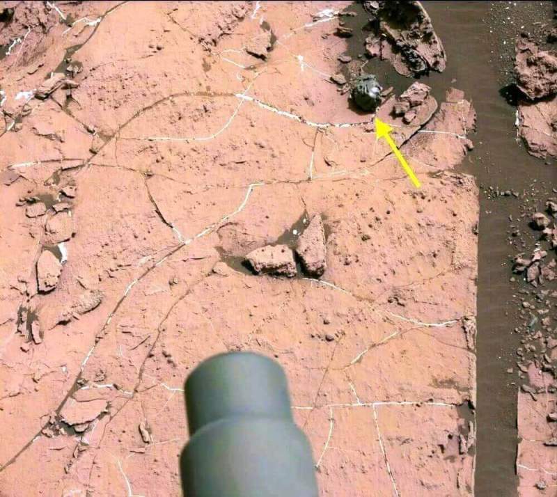 Как грибы после дождя: почему на Марсе так много метеоритов