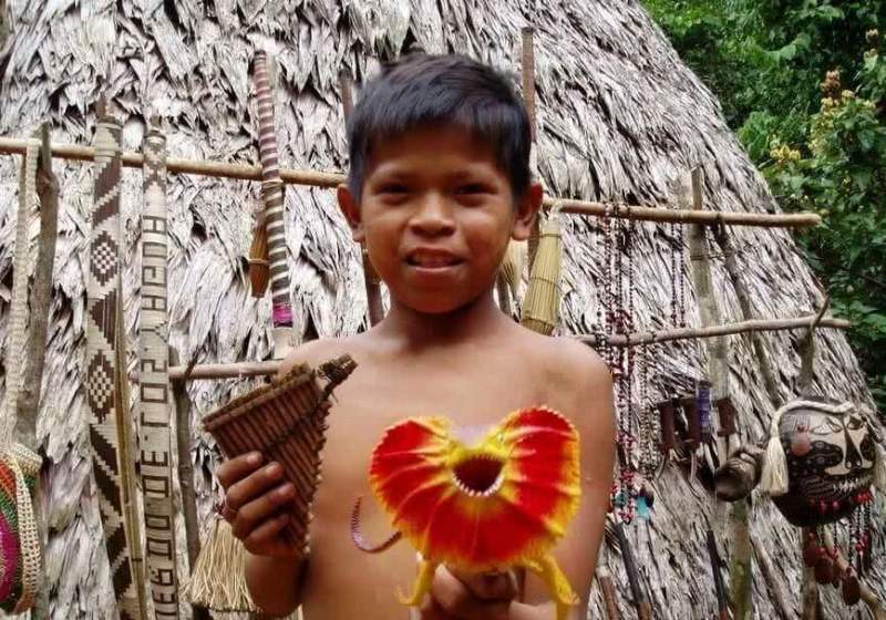 В Южной Америке коренные народы завершили создание лекарственной энциклопедии