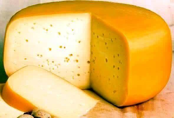 В Тамбовской области появился новый гастрономический бренд – сыр «Мичуринский»
