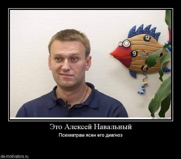 Дурацкое представление Навального в Мосгордуме вызвало смех в соцсетях 