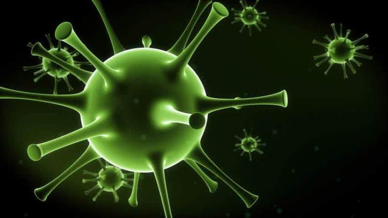 Фейковые новости про коронавирус призваны начать панику среди населения