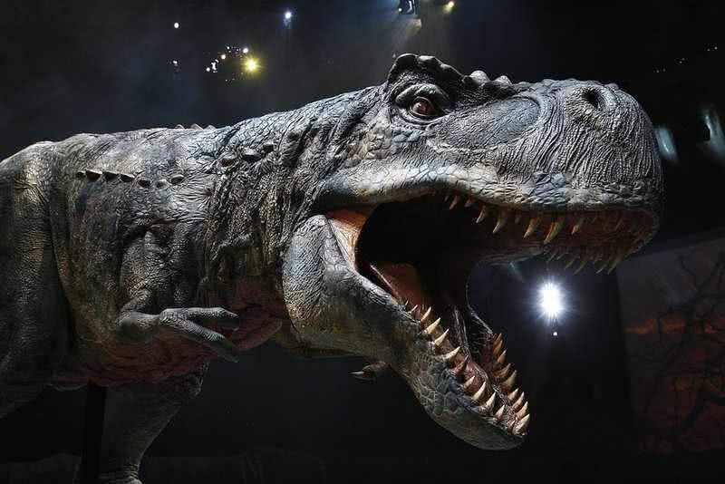Ученые: У тираннозавров были губы