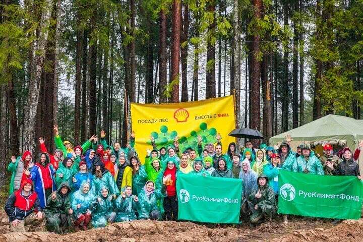 Автовладельцы и волонтёры РусКлиматФонда восстановили   пять гектаров  леса  в Подмосковье 