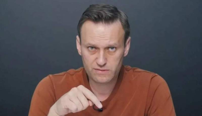В поддержку Навального голосуют лишь боты