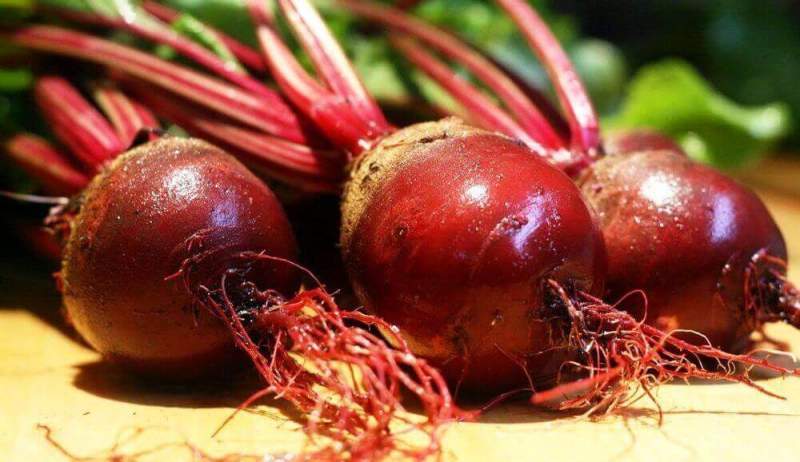 На Кубани бьют рекорды по сбору урожая