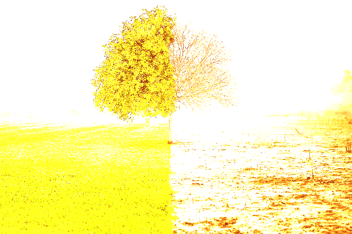 Остановить глобальное изменение климата в мире при помощи новых источников энергии и политической поддержке