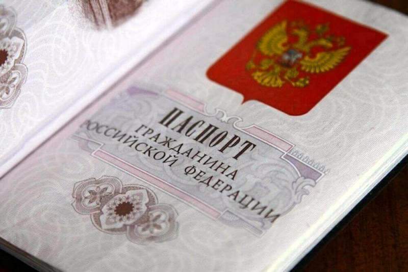 Руководство Ростовской области желает упростить получение гражданства для граждан ДНР и ЛНР