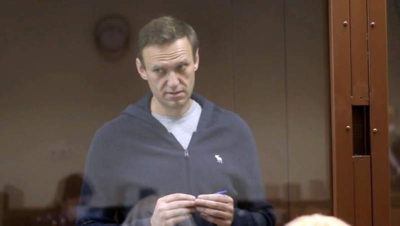 Команда Навального закупает рекламу в группах проституток