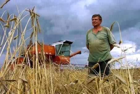 Начинающие фермеры Тамбовщины получат государственную поддержку