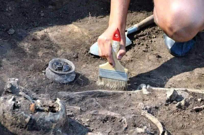 Китайские исследователи нашли кладбище эпохи неолита