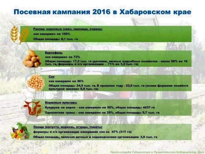 Под посевы в Хабаровском крае отведено почти 79 тысяч гектаров