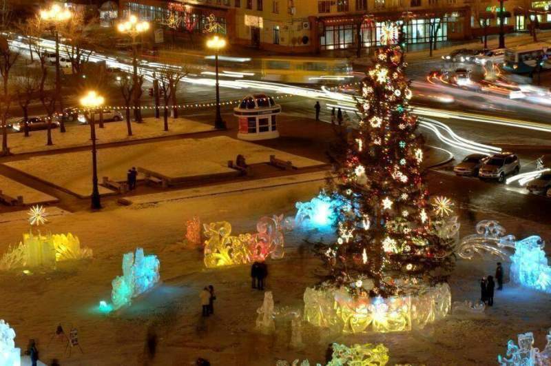 В Хабаровске началась установка главной новогодней ёлки края
