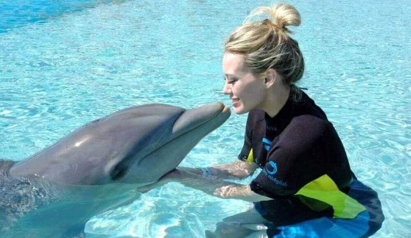 Посещение дельфинария в Петербурге