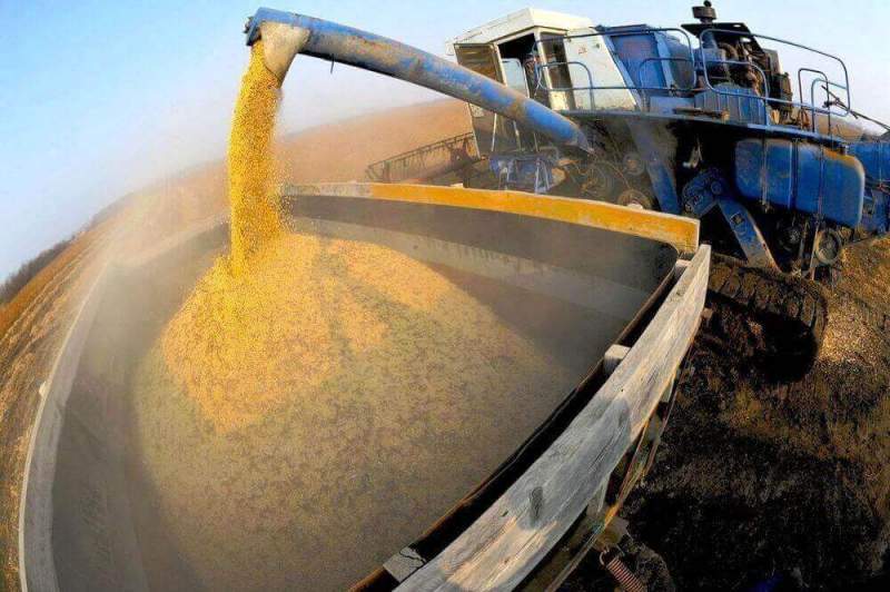 Около половины урожая ранних зерновых культур собрано в Хабаровском крае