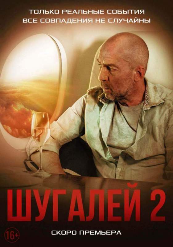 Рожин уверен, что фильм «Шугалей-2» поможет приблизить освобождение россиян из ливийского плена