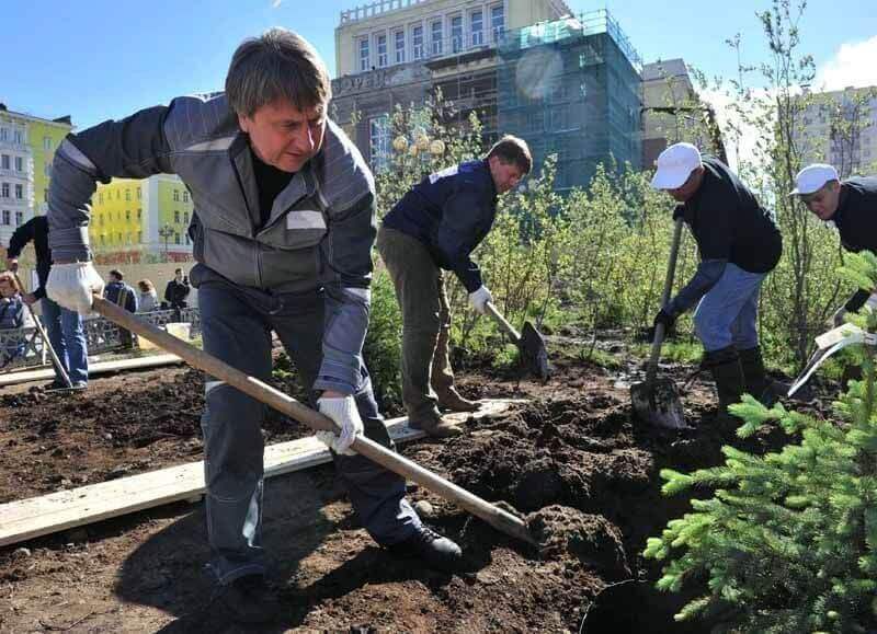 Мастерская LENOTR-PARK высадила в Москве и области 5 тысяч деревьев 