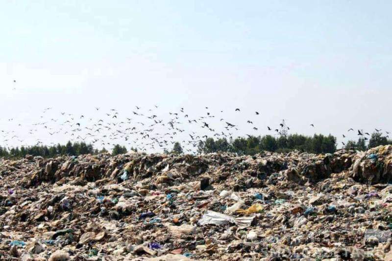 Жители Всеволожского района воюют за чистоту с мусорными нелегалами