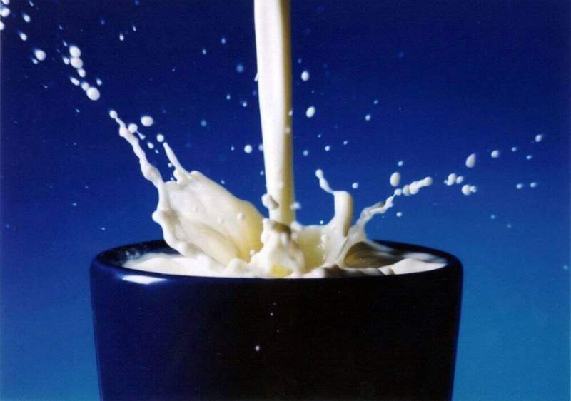 Скисание молока: причины, последствия, способы борьбы
