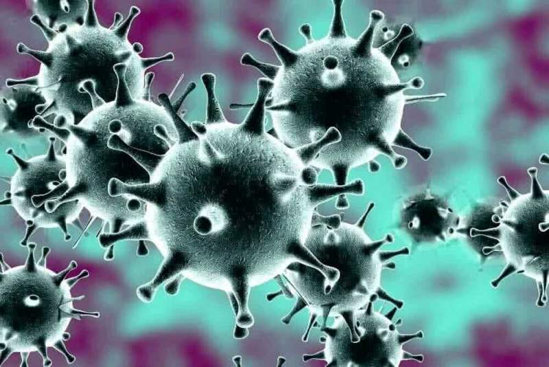 Кому выгодна эпидемия коронавируса