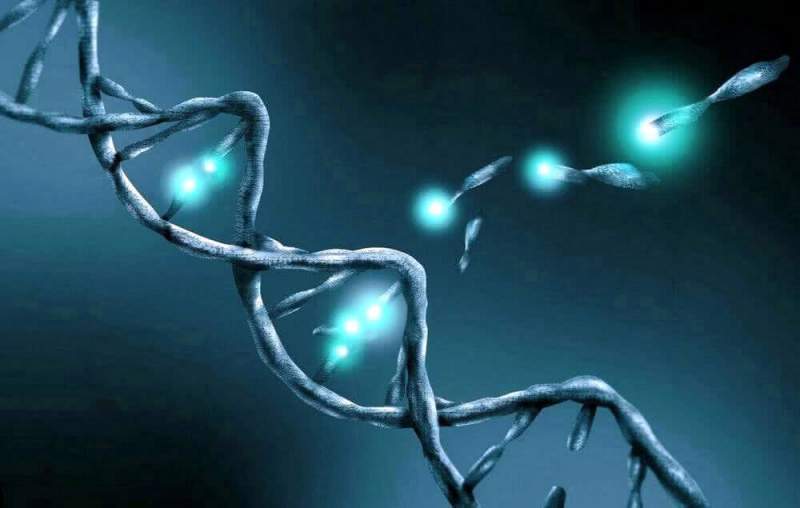 Ученые доказали негативное влияние вейпов на ДНК