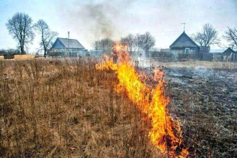 В четырех районах Хабаровского края начались рейды по предотвращению сельхозпалов