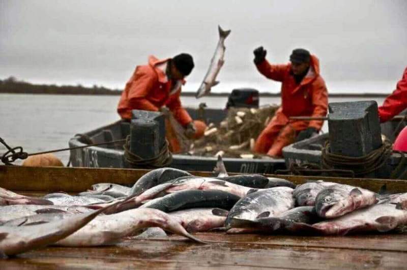 «Необходимо оперативно регулировать объем квот в нынешний рыболовецкий сезон», - губернатор