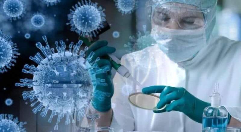 Благодаря усилиям врачей распространение коронавируса пошло на спад