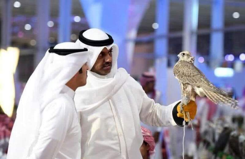 Выставка Saudi Falcons and Hunting Exhibition демонстрирует огромный успех