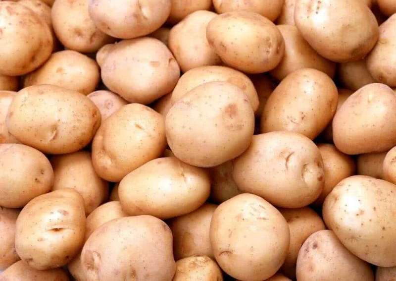 Ученые выяснили, когда люди впервые попробовали домашний картофель