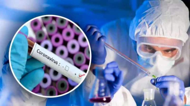 Спасение от коронавируса близко – стало известно о новых разработках отечественной науки 