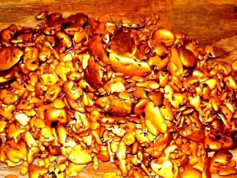 В Хабаровском крае вырос объем добычи рудного золота