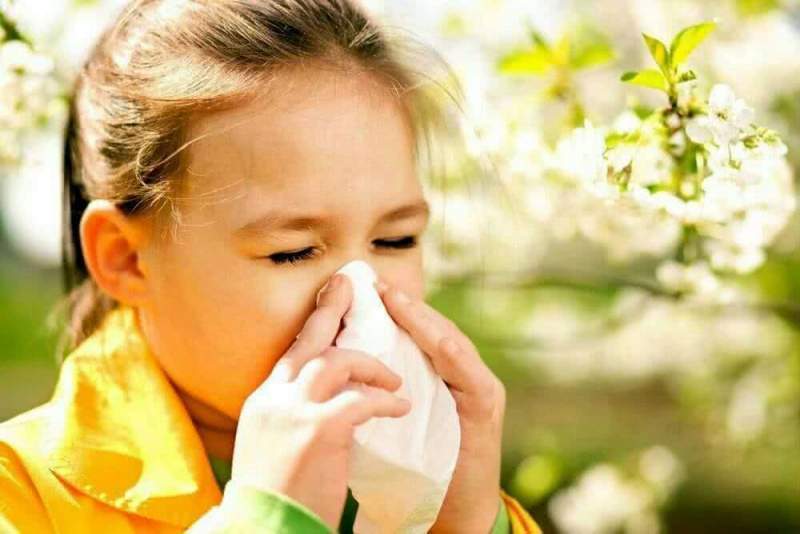 В детсадах аллергию не лечат