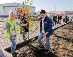 150 саженцев посадили старшеклассники Таймыра в рамках «Экологического субботника» 
