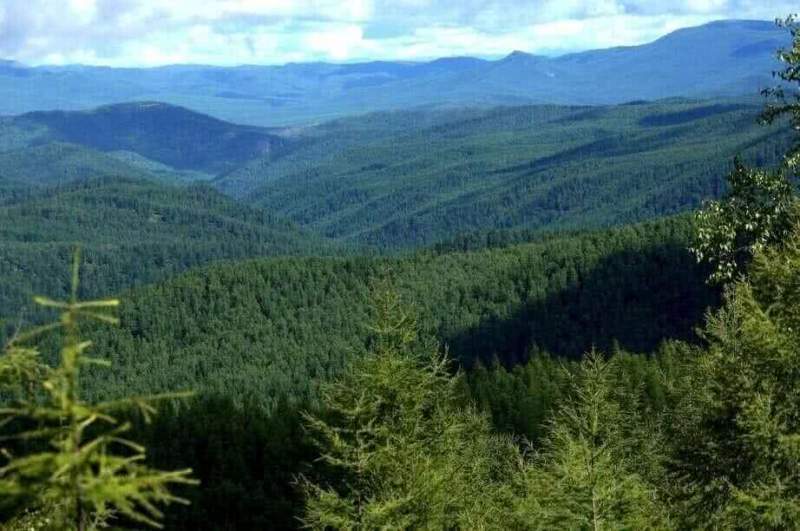 Охрану лесов и водных объектов обсудили на Совете уполномоченных представителей коренных малочисленных народов Хабаровского края