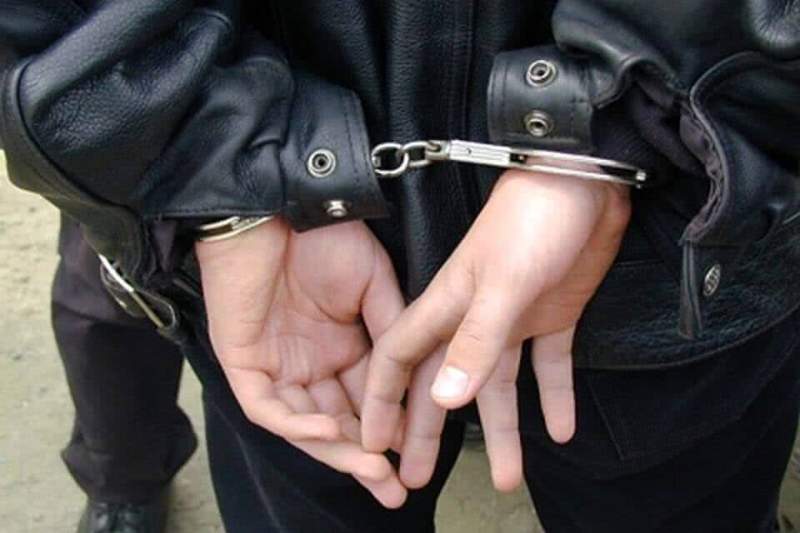 Сотрудники полиции Зеленограда задержали подозреваемого в хулиганстве